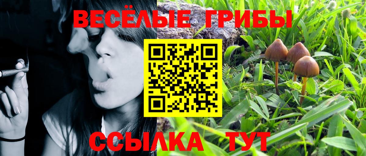 Псилоцибиновые грибы Psilocybine cubensis  Галлюциногенные грибы Psilocybe  Семёнов  Вход с VPN 